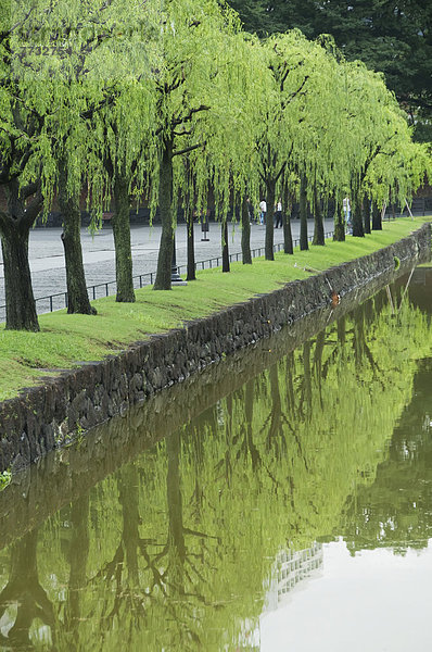 Wasser  Ecke  Ecken  Ruhe  Baum  Tokyo  Hauptstadt  Spiegelung  Japan