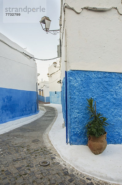 Rabat  Hauptstadt  Gebäude  Stadt  weiß  blau  streichen  streicht  streichend  anstreichen  anstreichend  Marokko  alt  Rabat