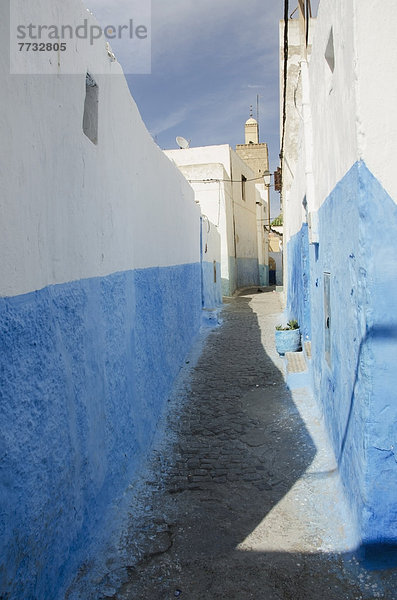 Rabat  Hauptstadt  Gebäude  Stadt  weiß  blau  streichen  streicht  streichend  anstreichen  anstreichend  Marokko  alt  Rabat