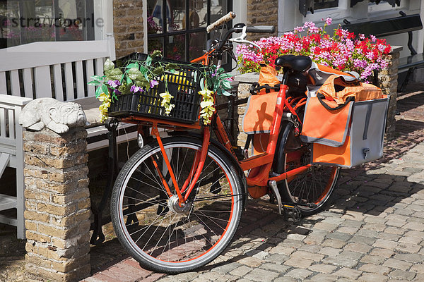 Blume  Korb  füllen  füllt  füllend  gehen  befestigen  Fahrgestell  Fahrrad  Rad  Niederlande  Fahrradgepäckträger  Gepäckträger