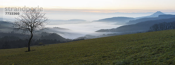 Hohenstoffeln  Hegau  Baden-Württemberg  Deutschland  Europa