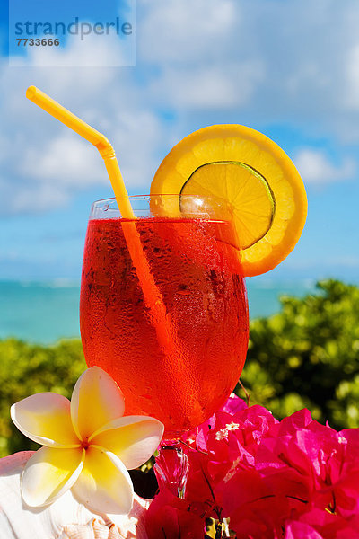 Tropisch  Tropen  subtropisch  Helligkeit  Blume  Tischset  Cocktail  rot  Außenaufnahme  Dekoration