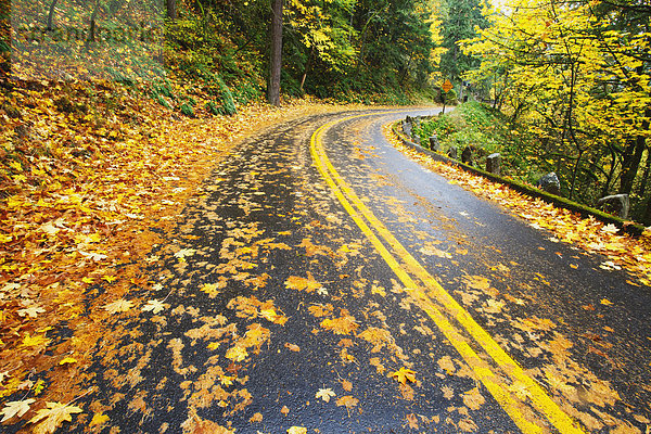 Vereinigte Staaten von Amerika  USA  Farbaufnahme  Farbe  Landschaftlich schön  landschaftlich reizvoll  Fernverkehrsstraße  Fluss  Herbst  vorwärts  Zimmer  Schlucht  Oregon