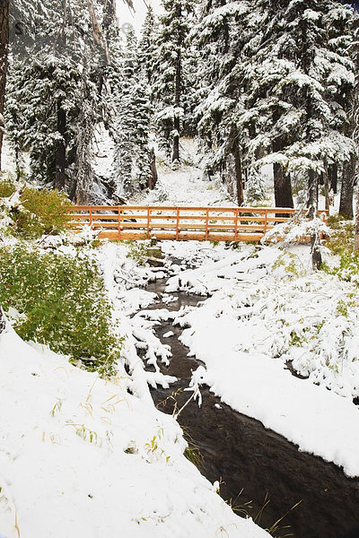 Vereinigte Staaten von Amerika USA Ereignis Herbst vorwärts Berg Kapuze Oregon Schnee