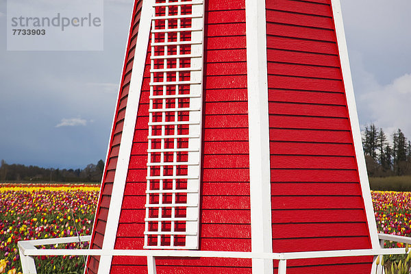 Vereinigte Staaten von Amerika USA Windturbine Windrad Windräder Bauernhof Hof Höfe Feld rot Tulpe Holzschuh Oregon