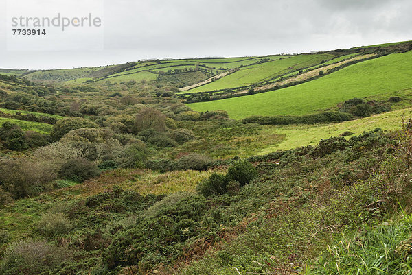 rollen  Landschaft  Hügel  Feld  Gras  Irland