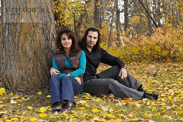 sitzend  Portrait  Ehepaar  Baum  unterhalb  Herbst  Alberta  Kanada  Edmonton