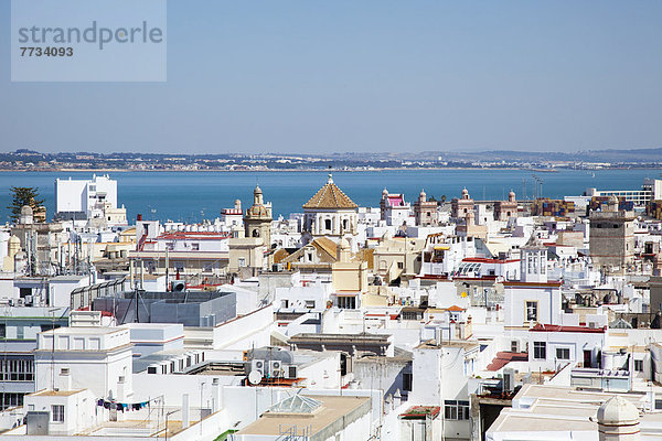 Gebäude  Küste  Stadt  vorwärts  gekalkt  Andalusien  Cadiz  Spanien