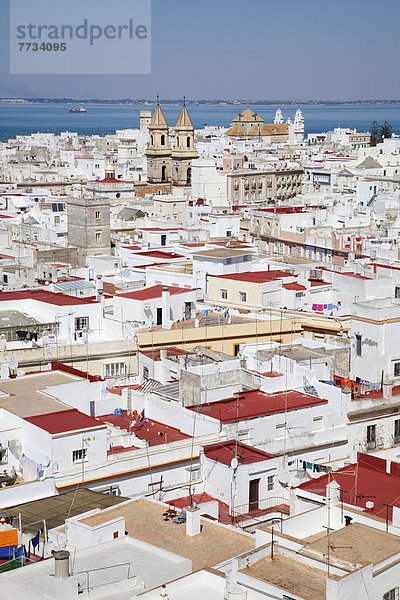 Gebäude  Küste  Stadt  gekalkt  Andalusien  Cadiz  Spanien