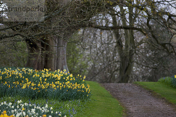 Schottland  Scottish Borders