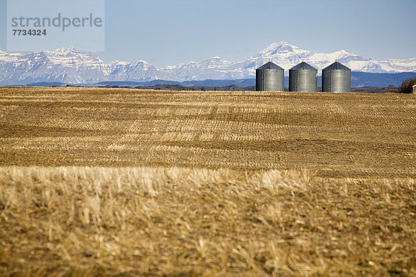 Getreide  Berg  bedecken  Himmel  Hintergrund  Feld  blau  Stoppelfeld  Alberta  Kanada  Metall  Schnee