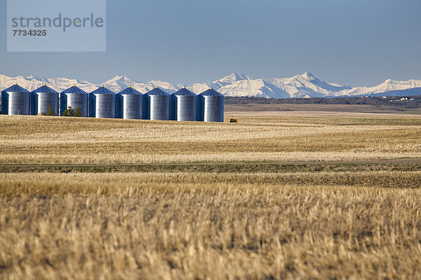 Getreide  Berg  bedecken  Himmel  Helligkeit  Hintergrund  Feld  blau  Stoppelfeld  Alberta  Kanada  Metall  Schnee