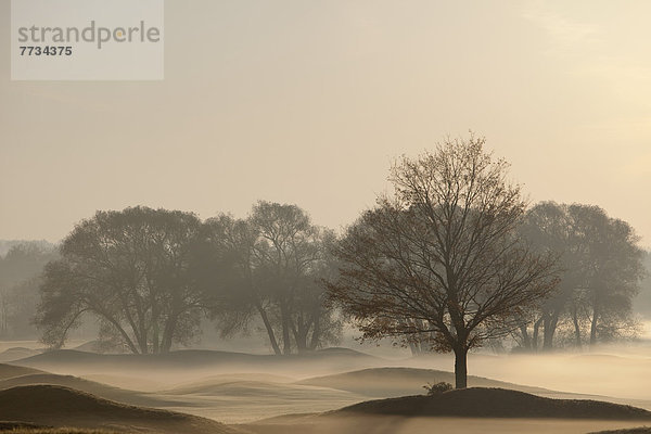 Morgen  Baum  Sonnenaufgang  Dunst  Herbst  Golfsport  Golf  Kanada  Kurs  Ontario