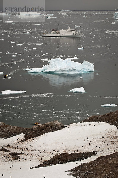 Kaiserpinguin  Aptenodytes forsteri  Wasser  Produktion  Schiff  Eisberg  Antarktis  Weg