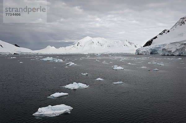 Wasser  Küste  Eisberg  vorwärts  Antarktis