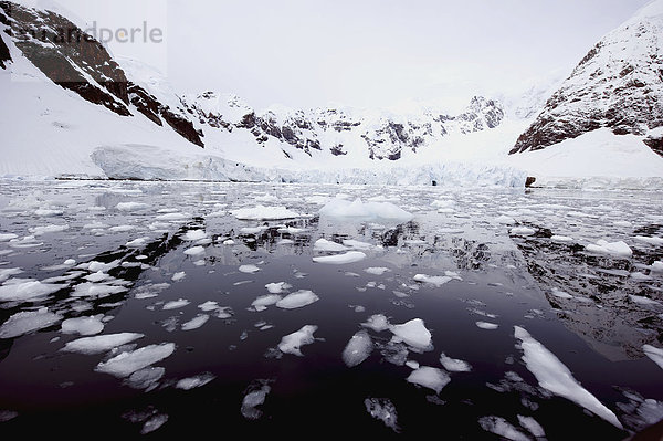 Wasser  Berg  Spiegelung  Gletscher  Antarktis