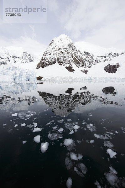 Wasser  Berg  Spiegelung  Gletscher  Antarktis