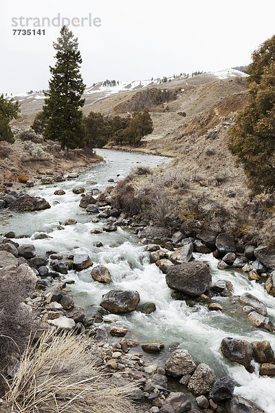 rennen  Bach  Spur  Yellowstone Nationalpark  Schnee