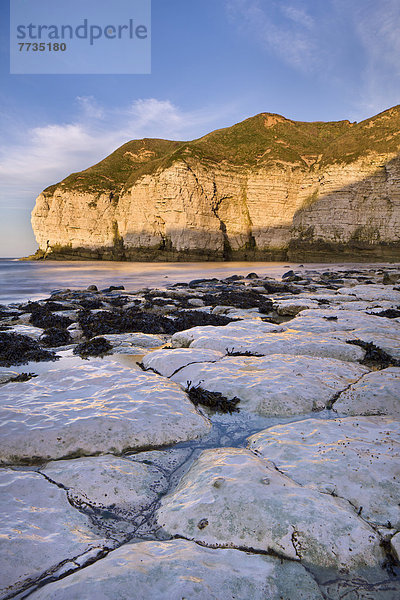 Cliffs Along The Coast  Thornwick Bay East Yorkshire England