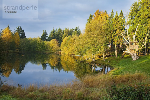 Farbaufnahme Farbe Amerika Ruhe Baum Spiegelung Herbst Festung Verbindung Ferndale Teich