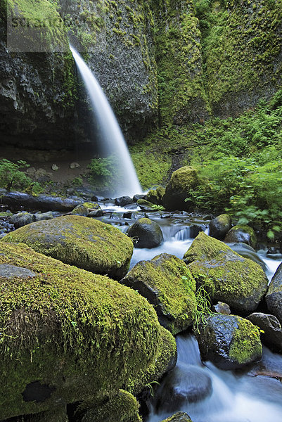 Waterfall And Stream  Oregon United States Of America