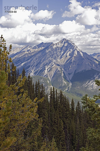 Rugged Canadian Rocky Mountains  Banff Alberta Canada