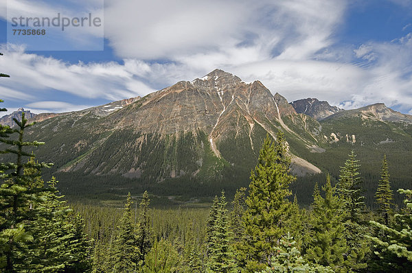 Canadian Rocky Mountains  Alberta Canada