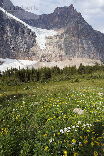 Mount Edith Cavell