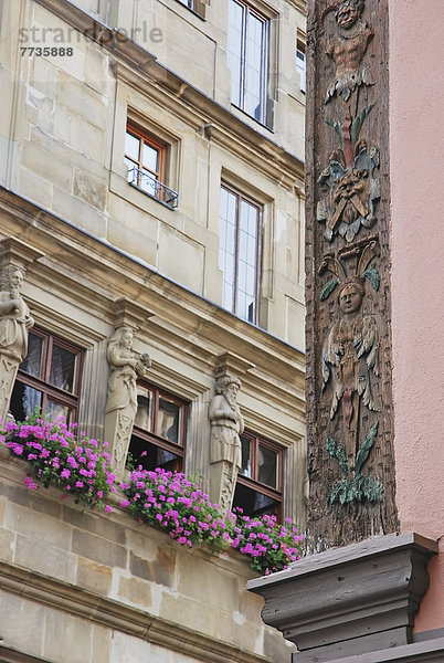 niedrig  Fenster  Blume  Gebäude  verziert  Fassade  pink  Ansicht  Flachwinkelansicht  Winkel  Deutschland