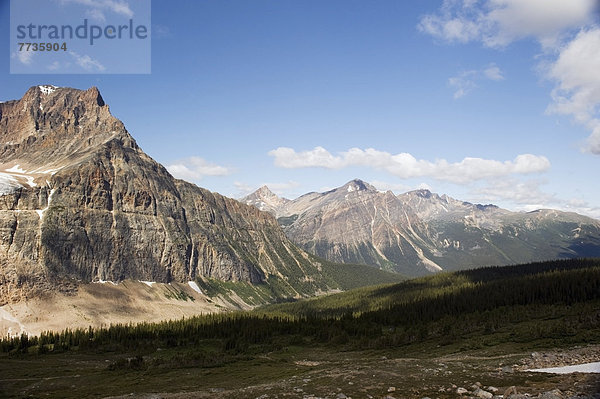 Canadian Rocky Mountains  Alberta Canada