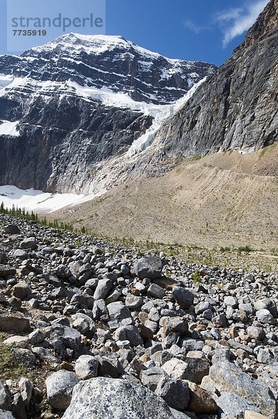 Canadian Rocky Mountains  Alberta Canada