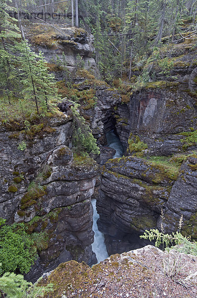 klein  Wasserfall  Wald