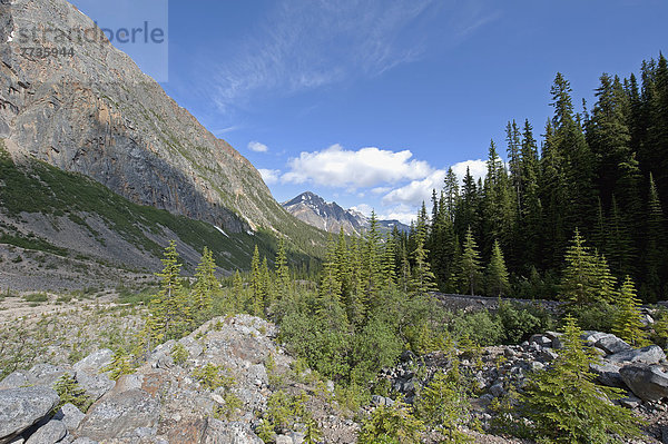 Mount Edith Cavell