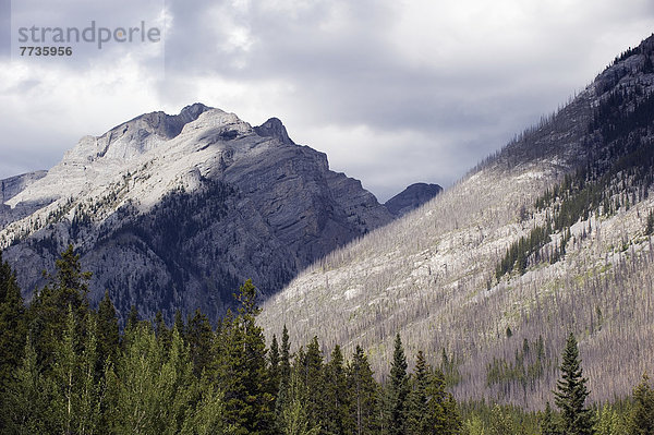 Canadian Rocky Mountains  Banff Alberta Canada