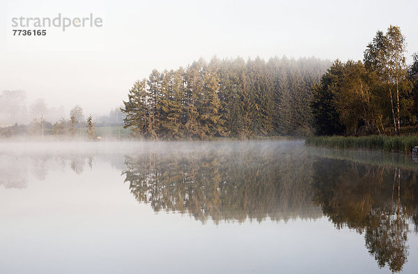 Mist Over A Tranquil Lake  Moulin De Boiron Gedinne Belgium