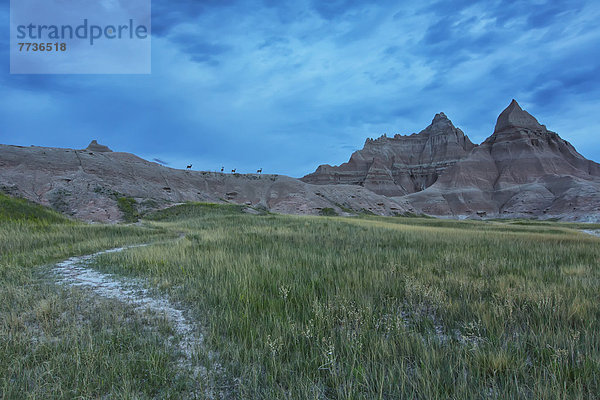 Nationalpark  Amerika  Morgen  Silhouette  Himmel  früh  Steppe  Verbindung  Hirsch  South Dakota