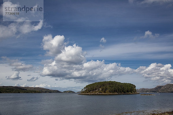 An Island Covered With Trees  Shieldaigh Wester Ross Scotland