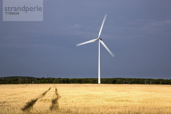 Windturbine Windrad Windräder rennen Feld 1
