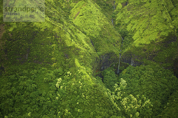 Landschaft  grün  Überfluss  fließen  Ansicht  Luftbild  Fernsehantenne
