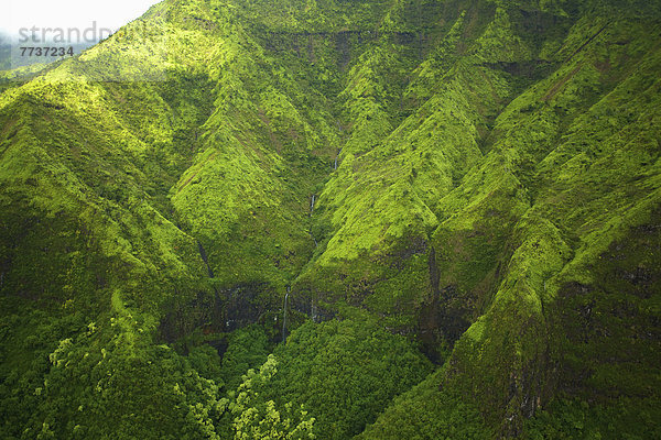 bedecken  Felsen  grün  Überfluss  Berglandschaft  Laub
