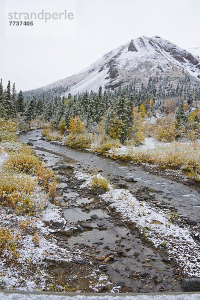 Nationalpark  Farbaufnahme  Farbe  Herbst  Bach  Denali Nationalpark  Iglu  Schnee