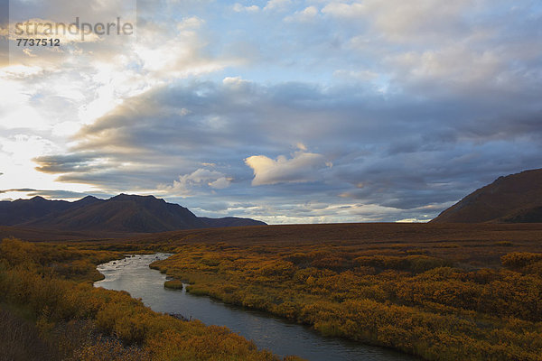Sonnenuntergang  bunt  fließen  Fluss  Bundesstraße  vorwärts  Tundra