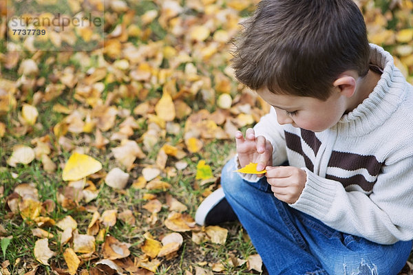 sitzend  sehen  Junge - Person  fallen  fallend  fällt  Pflanzenblatt  Pflanzenblätter  Blatt  Boden  Fußboden  Fußböden  Herbst  jung