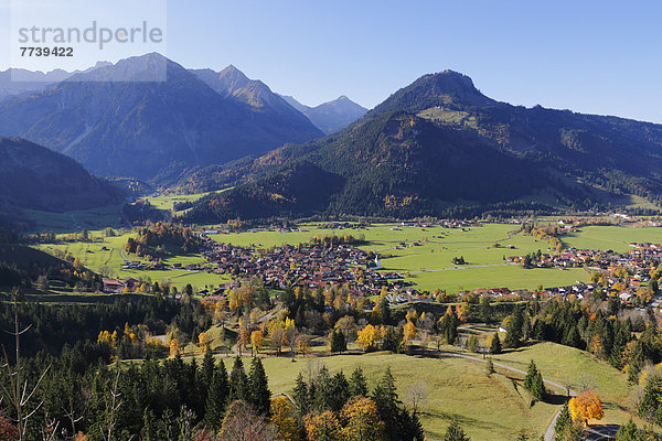 Wegkreuz unter Ahornbaum im Herbst  Allgäuer Alpen