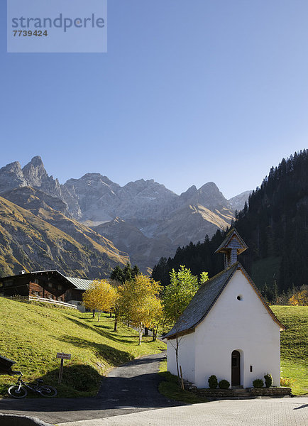 'Alte Schultafel mit Aufschrift ''FRISCHES GEMÜSE'''