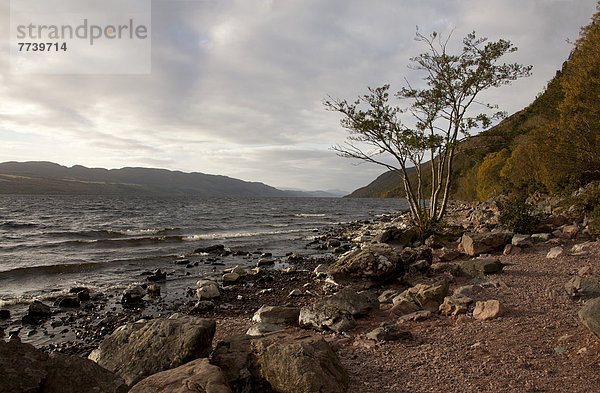 Loch Ness  Highlands  Schottland  Großbritannien  Europa