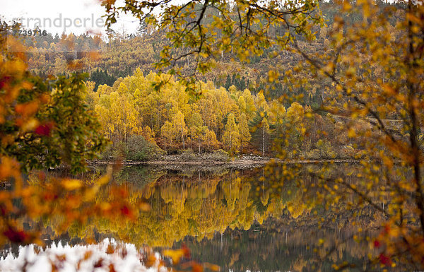 Loch Cuillin im Herbst  Highlands  Schottland  Großbritannien  Europa