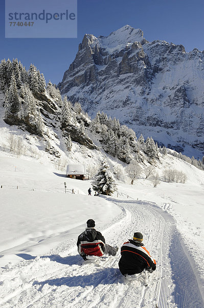 Schlitten fahren alpine Piste hinunter  Wetterhorn hinten  Schweiz  Europa