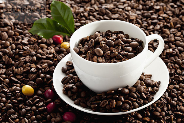 Geröstete Kaffeebohnen mit Kaffee  Nahaufnahme