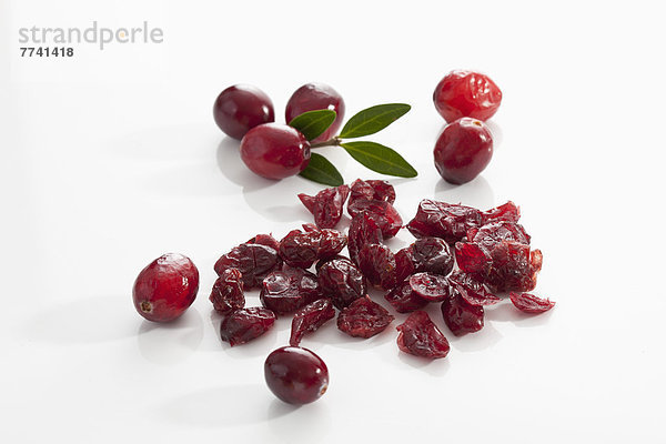 Frische und getrocknete Cranberries auf weißem Hintergrund  Nahaufnahme